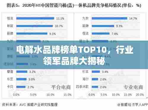 电解水品牌榜单TOP10,行业领军品牌大揭秘