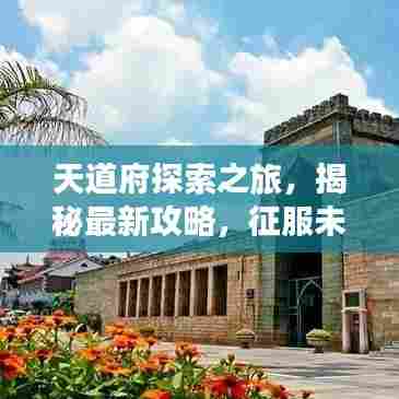 天道府探索之旅,揭秘最新攻略,征服未知未来!