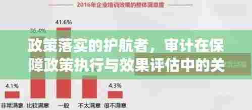 政策落实的护航者,审计在保障政策执行与效果评估中的关键作用