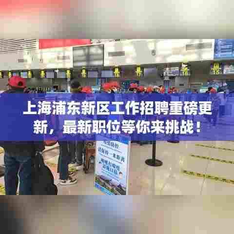 上海浦东新区工作招聘重磅更新,最新职位等你来挑战!