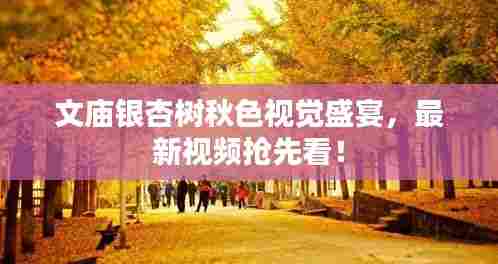 文庙银杏树秋色视觉盛宴,最新视频抢先看!