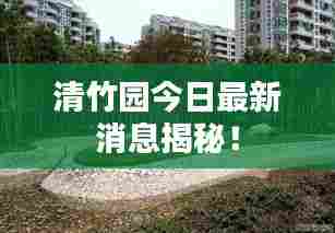 清竹园今日最新消息揭秘！