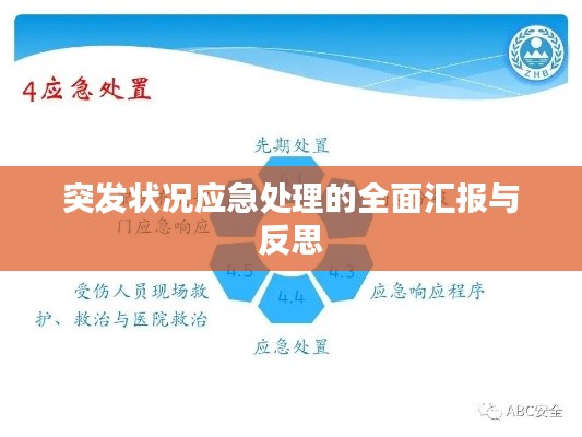 突发状况应急处理的全面汇报与反思