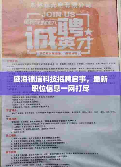 威海锦瑞科技招聘启事,最新职位信息一网打尽
