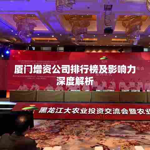 厦门增资公司排行榜及影响力深度解析