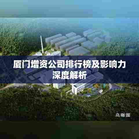 厦门增资公司排行榜及影响力深度解析