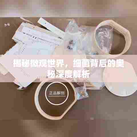 揭秘微观世界,细菌背后的奥秘深度解析