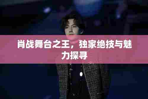 肖战舞台之王,独家绝技与魅力探寻