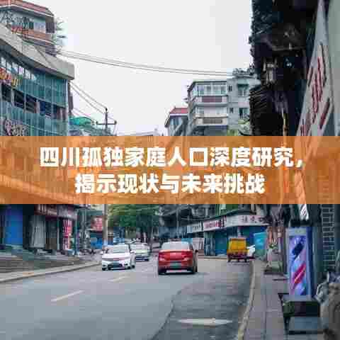 四川孤独家庭人口深度研究,揭示现状与未来挑战