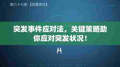 突发事件应对法，关键策略助你应对突发状况！