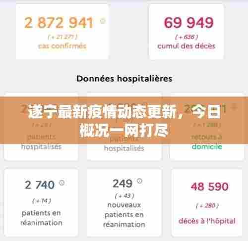 遂宁最新疫情动态更新，今日概况一网打尽