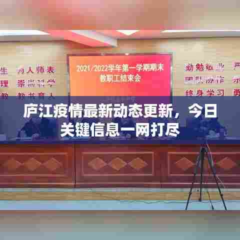 庐江疫情最新动态更新,今日关键信息一网打尽