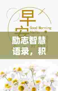 励志智慧语录,积极人生,智慧相伴