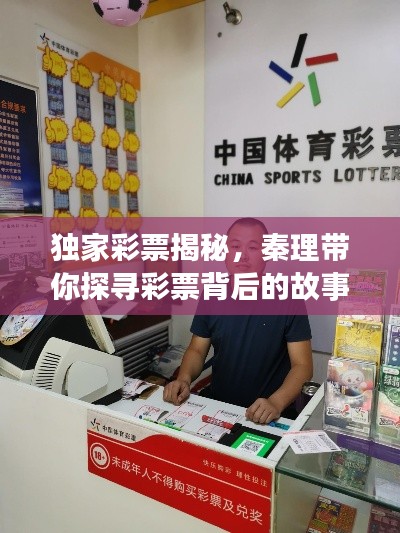 独家彩票揭秘,秦理带你探寻彩票背后的故事