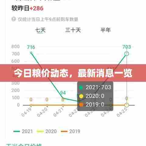 今日粮价动态,最新消息一览