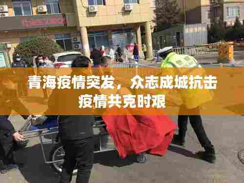 青海疫情突发,众志成城抗击疫情共克时艰