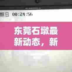 东莞石墩最新动态，新闻头条与深度解析