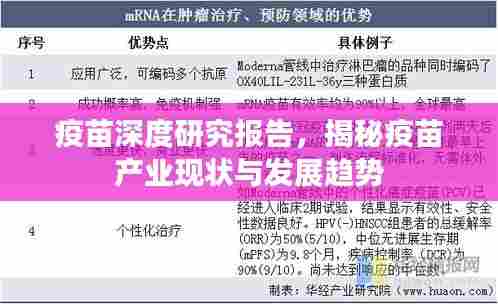 疫苗深度研究报告，揭秘疫苗产业现状与发展趋势