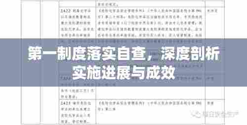 第一制度落实自查,深度剖析实施进展与成效