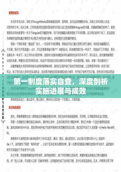 第一制度落实自查,深度剖析实施进展与成效