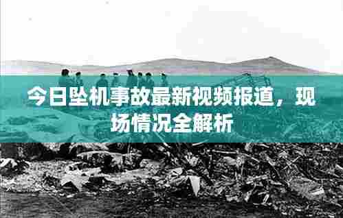 今日坠机事故最新视频报道，现场情况全解析