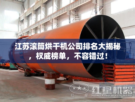 江苏滚筒烘干机公司排名大揭秘,权威榜单,不容错过!