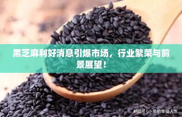 黑芝麻利好消息引爆市场，行业繁荣与前景展望！
