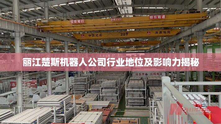 丽江楚斯机器人公司行业地位及影响力揭秘