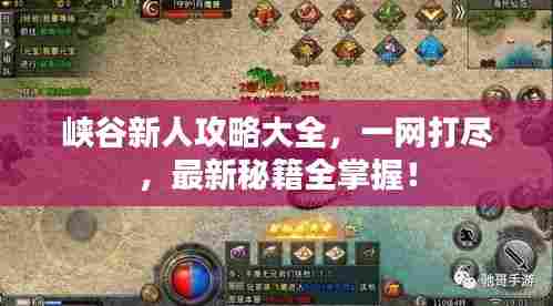 峡谷新人攻略大全，一网打尽，最新秘籍全掌握！