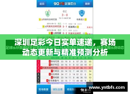 深圳足彩今日实单速递,赛场动态更新与精准预测分析