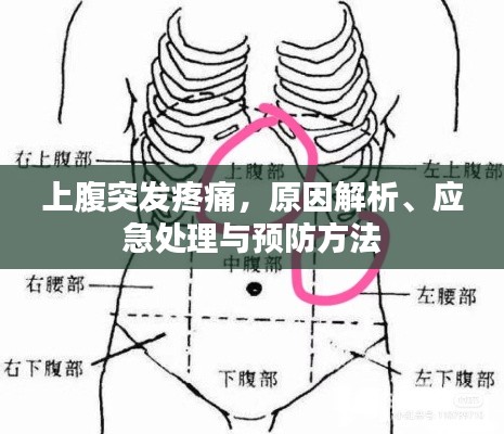 上腹突发疼痛,原因解析、应急处理与预防方法