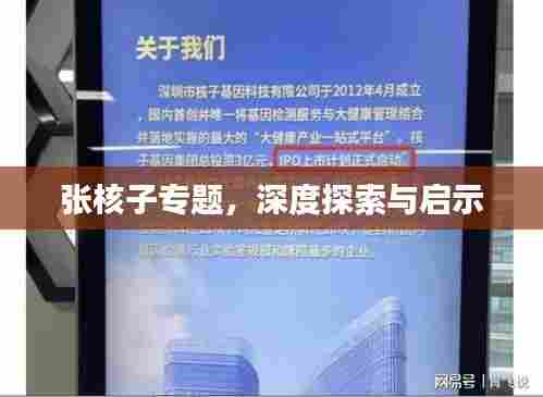 张核子专题，深度探索与启示