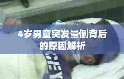 炊粱跨卫 第6页