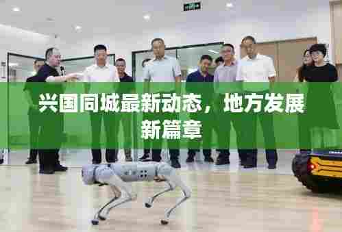 兴国同城最新动态,地方发展新篇章