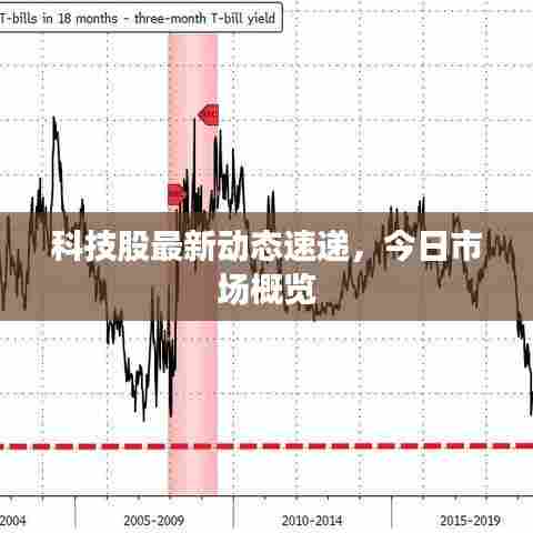 科技股最新动态速递，今日市场概览