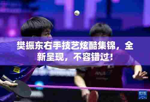 樊振东右手技艺炫酷集锦，全新呈现，不容错过！