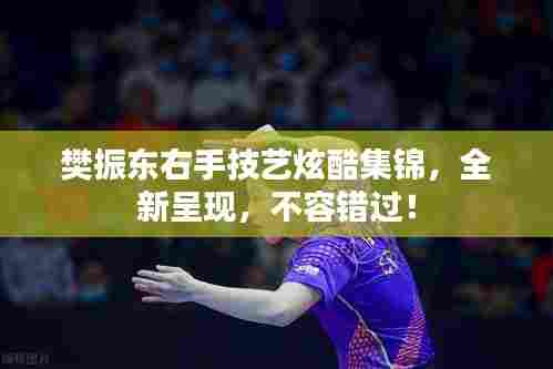 樊振东右手技艺炫酷集锦,全新呈现,不容错过!