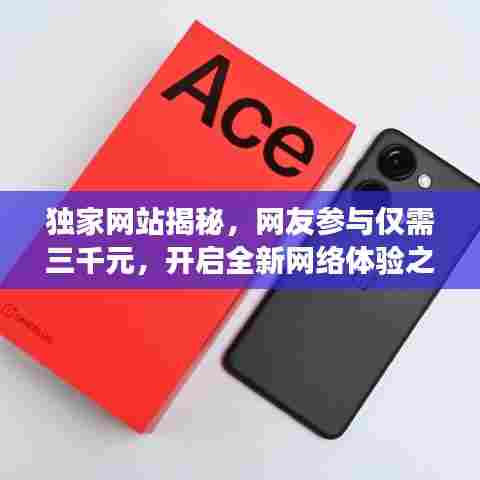 独家网站揭秘，网友参与仅需三千元，开启全新网络体验之旅