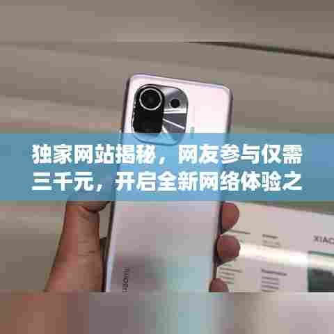 独家网站揭秘,网友参与仅需三千元,开启全新网络体验之旅