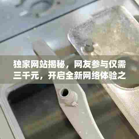 独家网站揭秘,网友参与仅需三千元,开启全新网络体验之旅