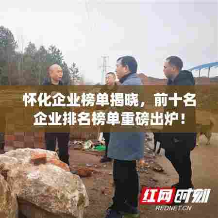 怀化企业榜单揭晓,前十名企业排名榜单重磅出炉!