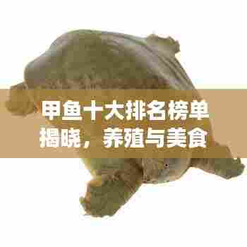 甲鱼十大排名榜单揭晓,养殖与美食的完美结合大揭秘