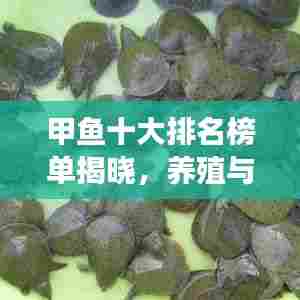甲鱼十大排名榜单揭晓,养殖与美食的完美结合大揭秘