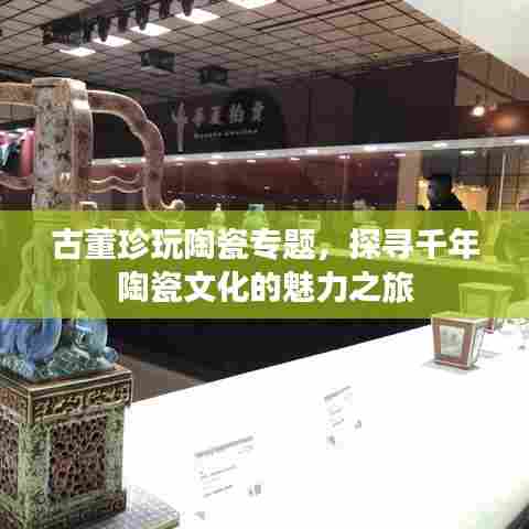 古董珍玩陶瓷专题,探寻千年陶瓷文化的魅力之旅