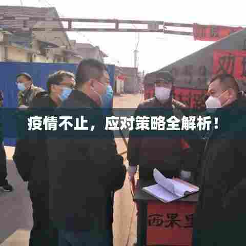 疫情不止,应对策略全解析!