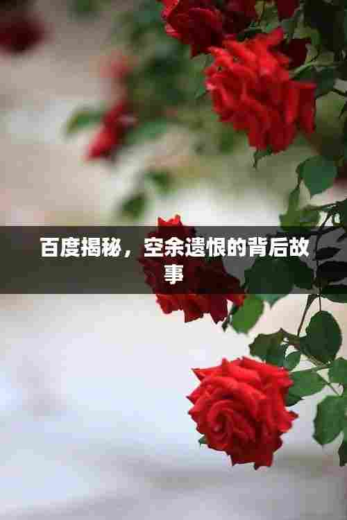 百度揭秘,空余遗恨的背后故事