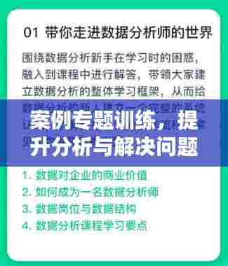 案例专题训练，提升分析与解决问题能力的实战之路
