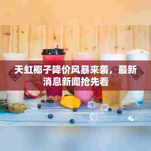 天虹椰子降价风暴来袭，最新消息新闻抢先看