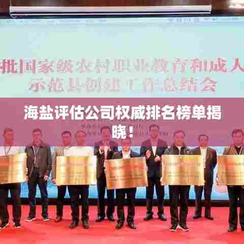 海盐评估公司权威排名榜单揭晓!