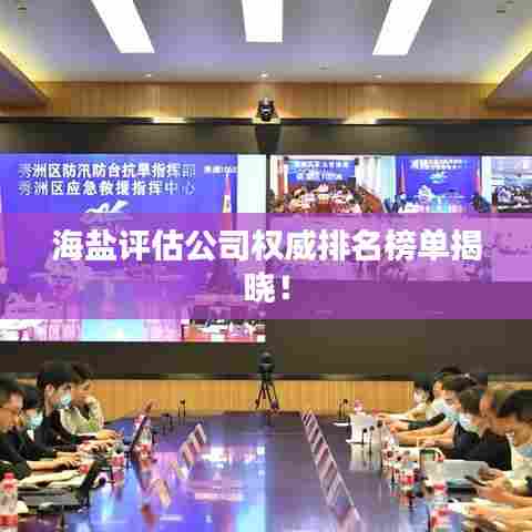 海盐评估公司权威排名榜单揭晓!